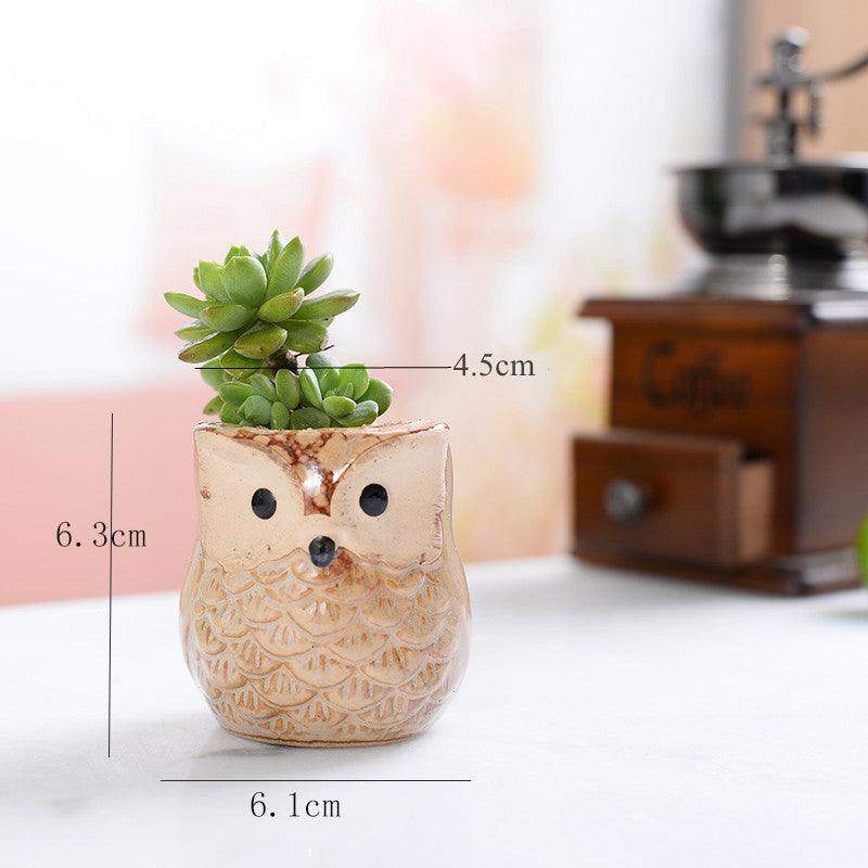 6-Piece Small Owl Ceramic Succulent Planter Pots - Lily & Eden