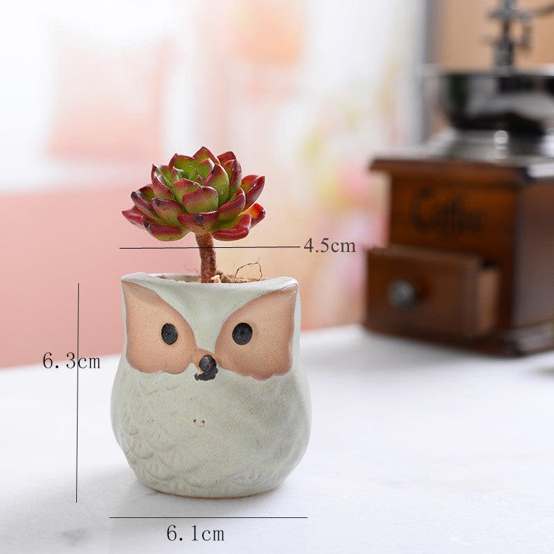 6-Piece Small Owl Ceramic Succulent Planter Pots - Lily & Eden