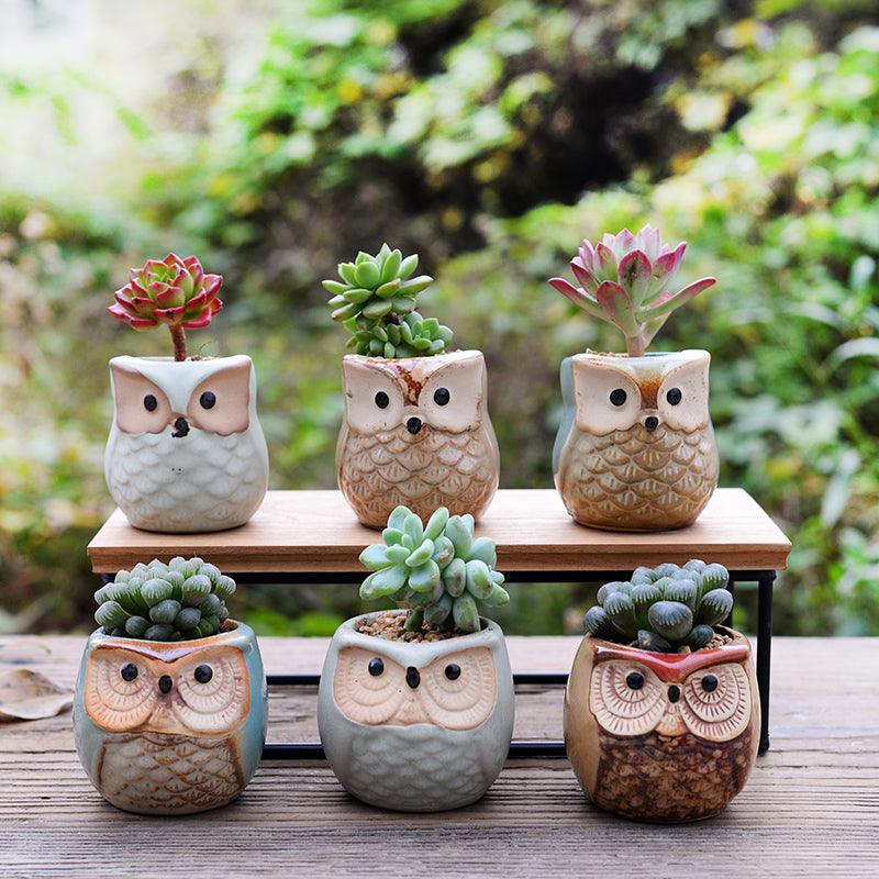 6-Piece Small Owl Ceramic Succulent Planter Pots - Lily & Eden