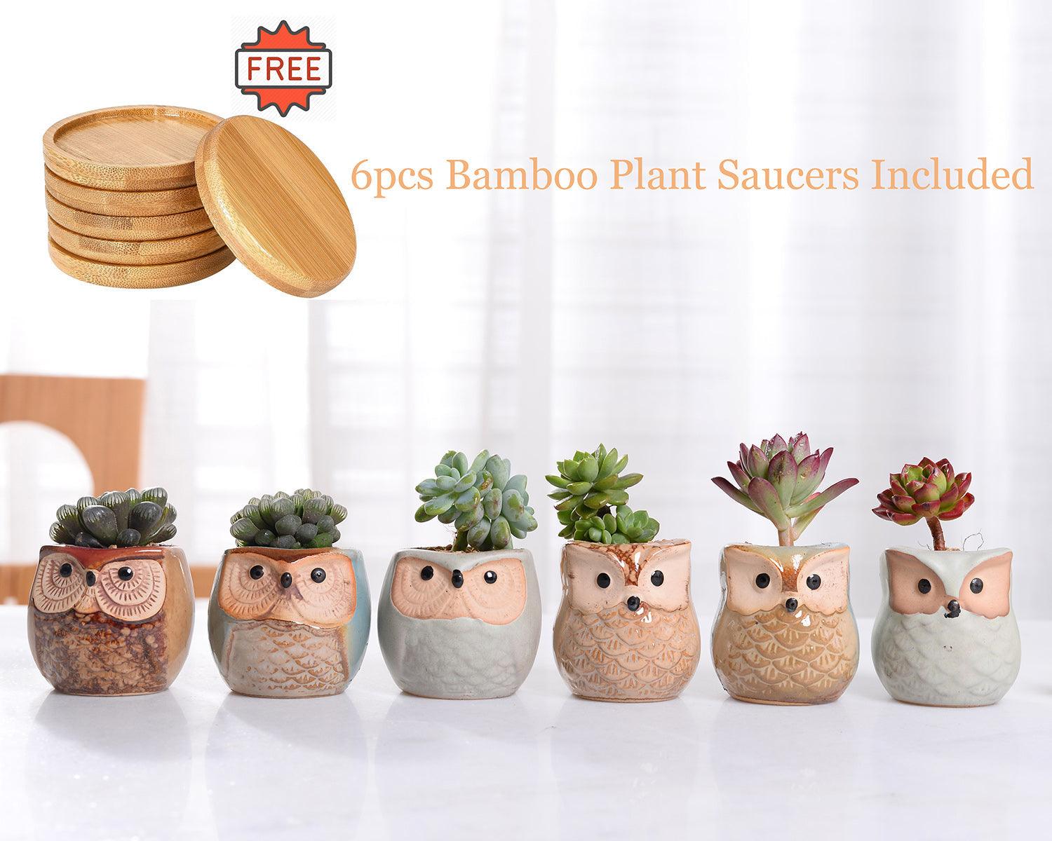 6-Piece Small Owl Ceramic Succulent Planter Pots - Lily & Eden