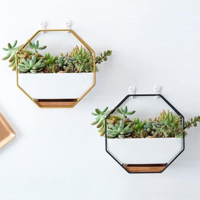 Ceramic Geometric Wall Planter with Iron Octagonal Frame - Lily & Eden
