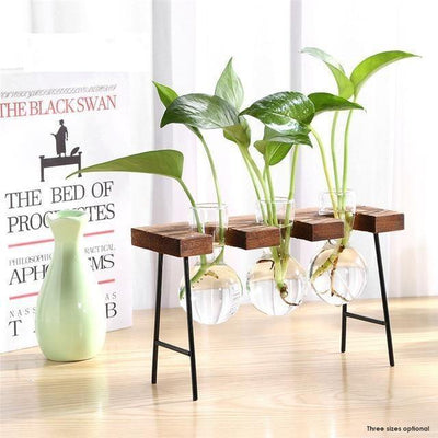 Glass Plant Vase with Metal and Wooden Stand - Lily & Eden