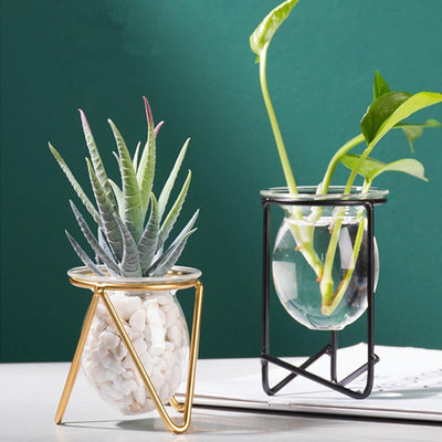 Glass Plant Vase with Modern Iron Stand - Lily & Eden