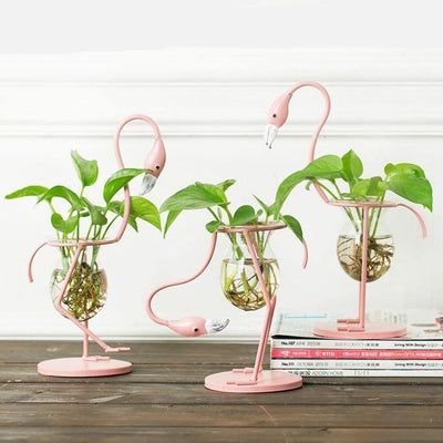 Tropical Flamingo Growth Vessel - Lily & Eden