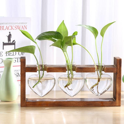 Glass & Wood Heart Propagation Vase - Lily & Eden